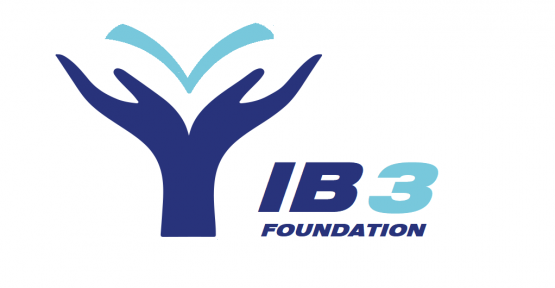 IB Cube 2021 – Vision and mission