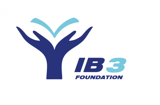 IB Cube 2021 – Vision and mission